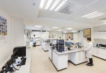 Mercedes-Benz Türk, “Çevre Yönetim Sistemi” ile sektöre öncülük etmeye devam ediyor