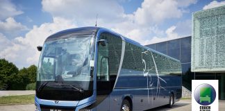 MAN Lion’s Coach “Coach of the Year 2020” ödülü ile taçlandırıldı