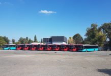 Sırbistan’daki Otokar otobüslerinin sayısı artmaya devam ediyor