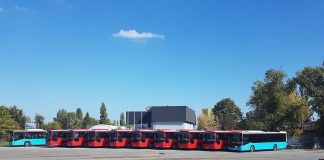 Sırbistan’daki Otokar otobüslerinin sayısı artmaya devam ediyor