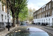 Ford’dan kuş pisliklerine karşı sıra dışı boya koruma yöntemi