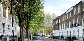 Ford’dan kuş pisliklerine karşı sıra dışı boya koruma yöntemi