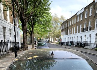 Ford’dan kuş pisliklerine karşı sıra dışı boya koruma yöntemi