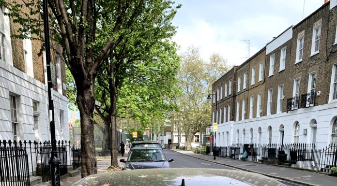 Ford’dan kuş pisliklerine karşı sıra dışı boya koruma yöntemi