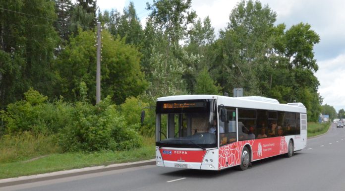 Perm şehri toplu taşıma şirketi, yoğun güzergahlarda çalışmak için Allison şanzıman donanımlı otobüsleri tercih etti