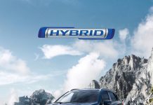 Suzuki’den Hibrit Ailesine Özel Avantajlar!