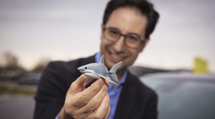 Opel’in Kült Haline Gelen Köpekbalığının Keyifli Hikayesi