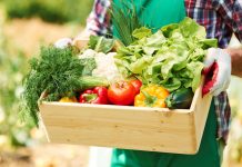 Dinçer Lojistik’ten teknoloji tabanlı atık yönetimi firması Fazla Gıda’ya destek