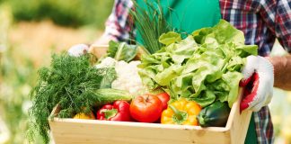 Dinçer Lojistik’ten teknoloji tabanlı atık yönetimi firması Fazla Gıda’ya destek