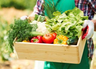 Dinçer Lojistik’ten teknoloji tabanlı atık yönetimi firması Fazla Gıda’ya destek