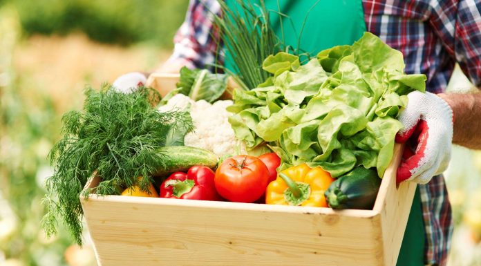 Dinçer Lojistik’ten teknoloji tabanlı atık yönetimi firması Fazla Gıda’ya destek