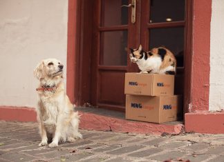 MNG Kargo iyilik taşıyor…