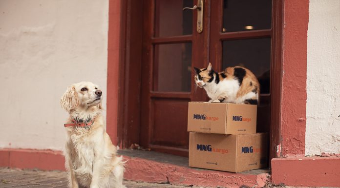 MNG Kargo iyilik taşıyor…