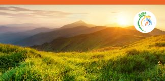 Borusan Grup şirketleri, UN Global Compact’e katıldı