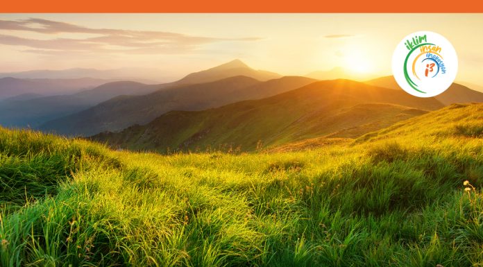 Borusan Grup şirketleri, UN Global Compact’e katıldı